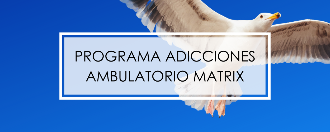 programa matrix