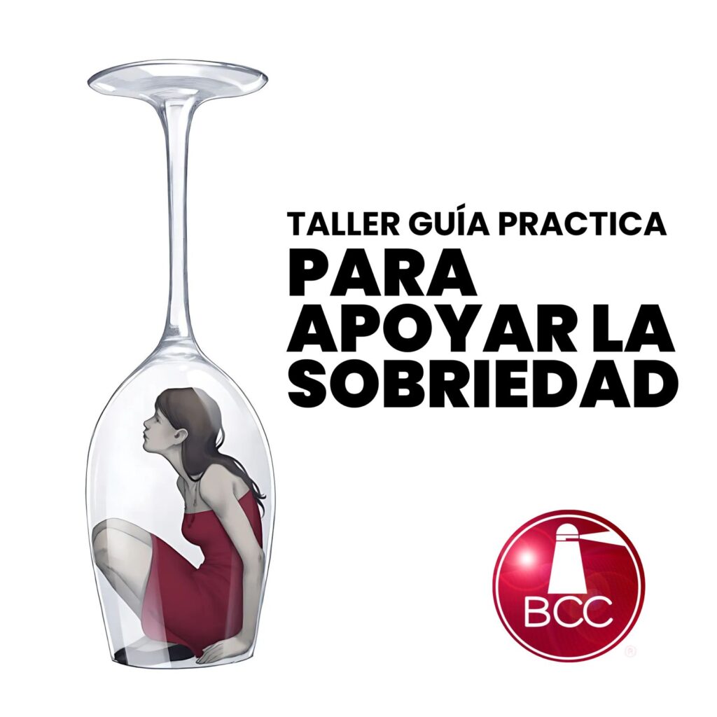 taller apoyo a la sobriedad