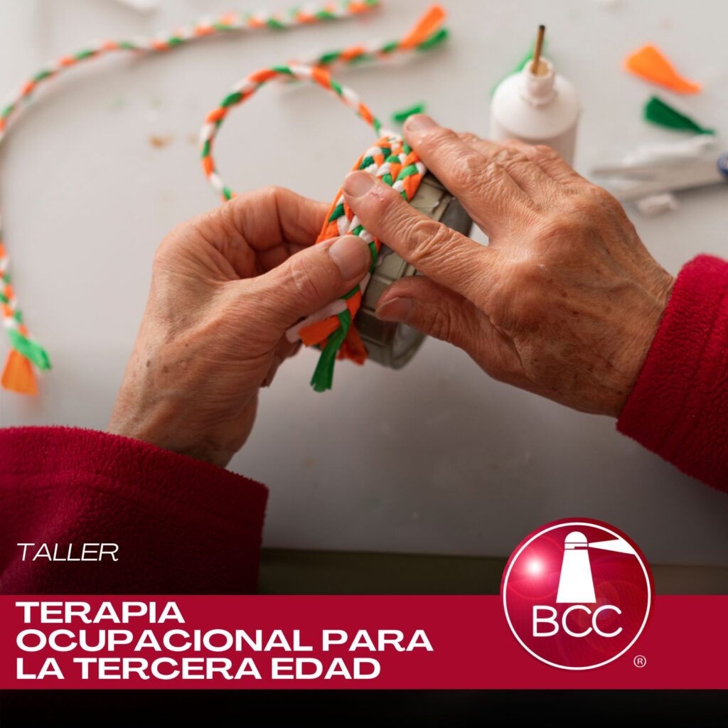 taller ocupacional 3ra edad